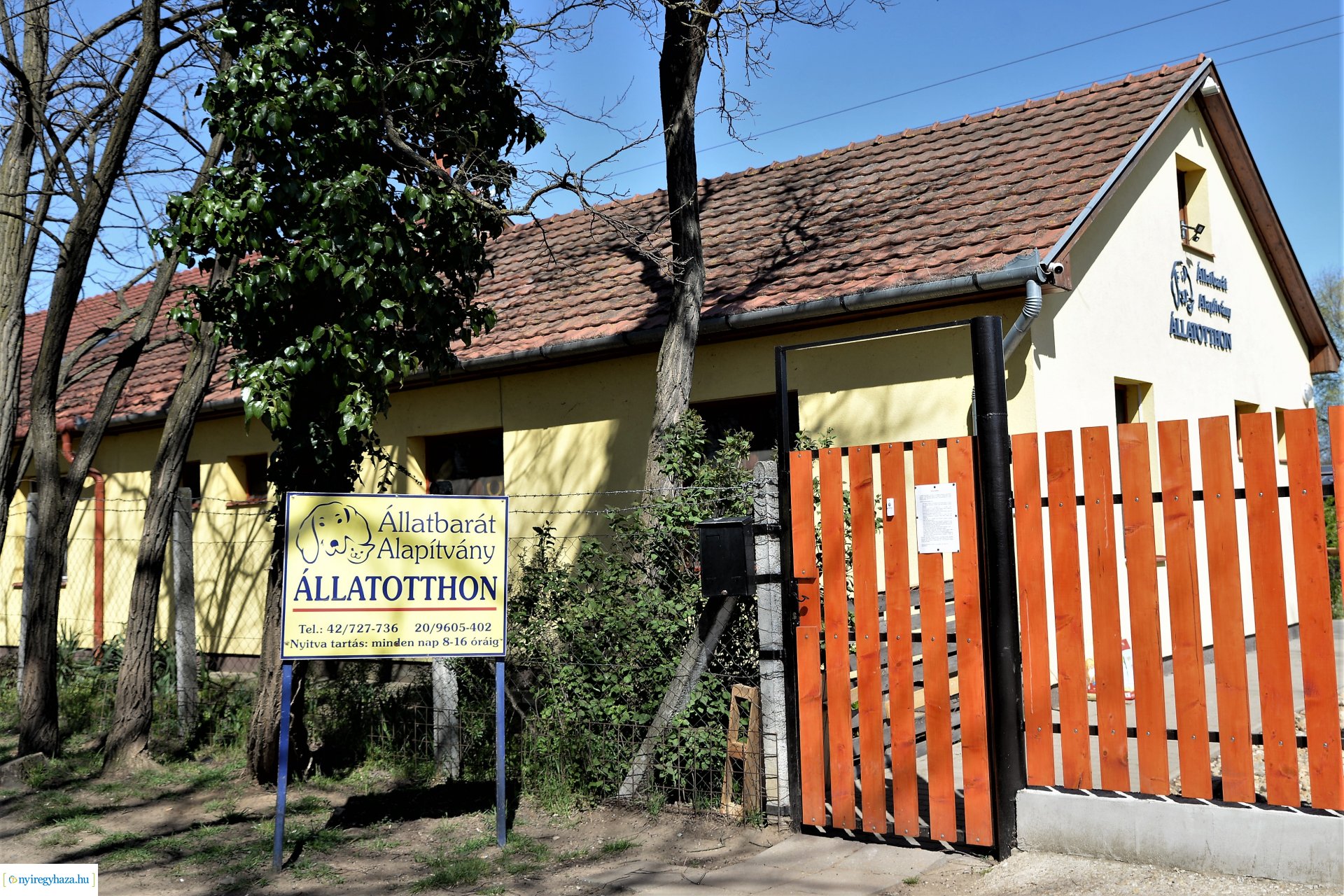 Látogatás az Állatbarát Alapítvány Állatotthonában