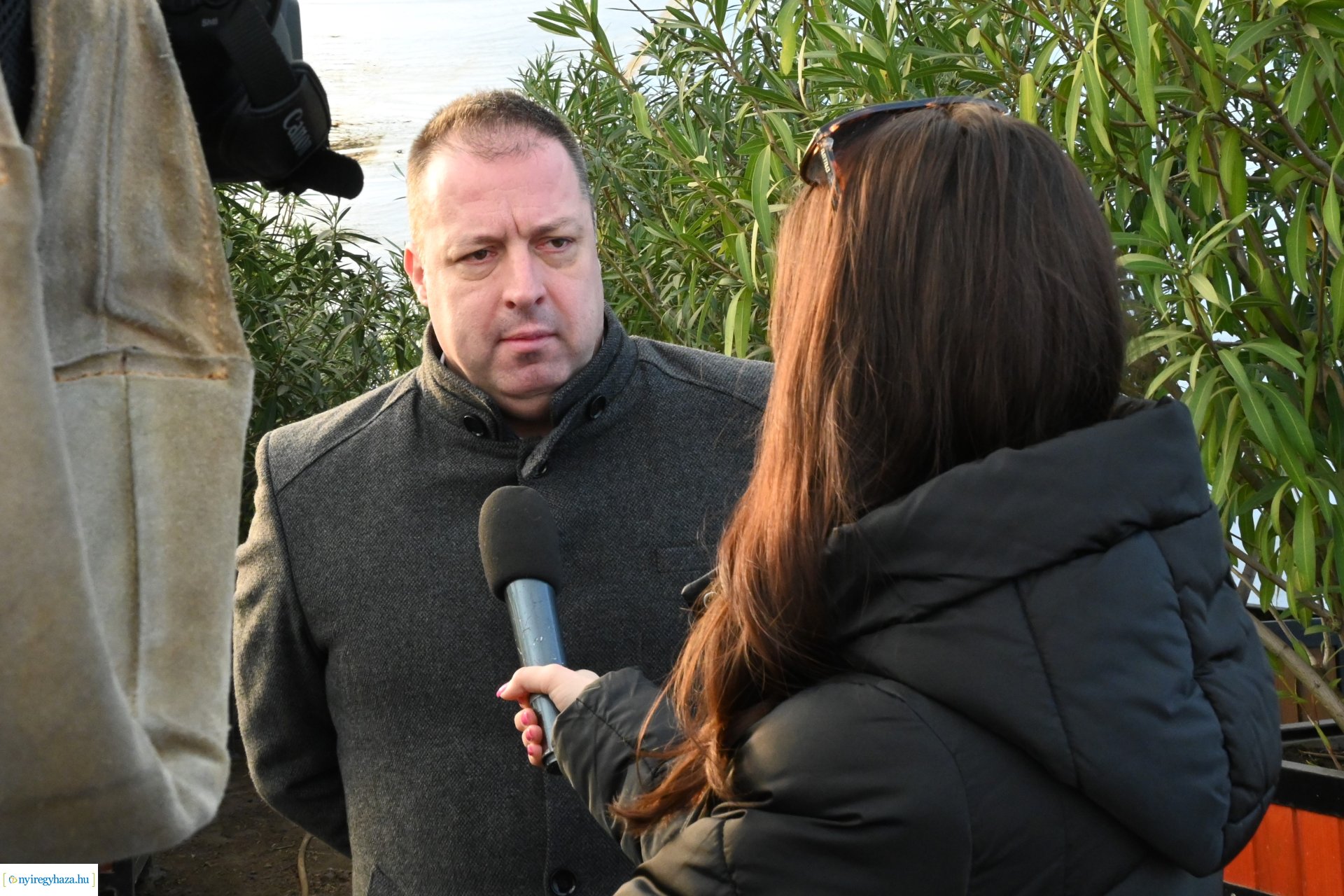 Leanderek teletetése a NYÍRVV fóliasátrában