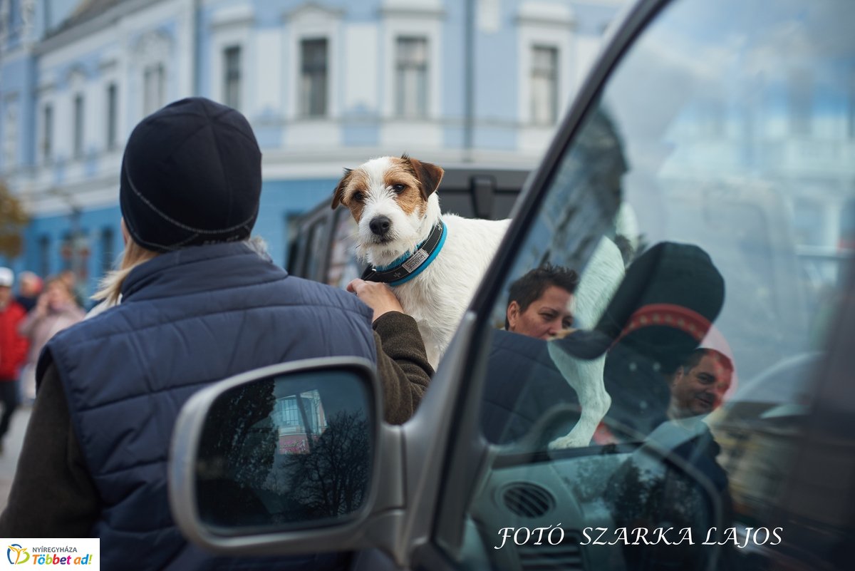 Legend Rally 2019 rajt