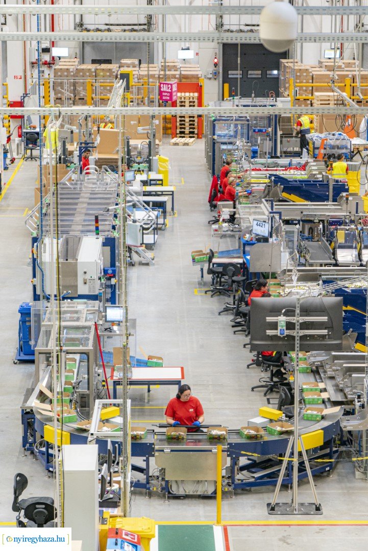 LEGO Gyárbővítés 2022.