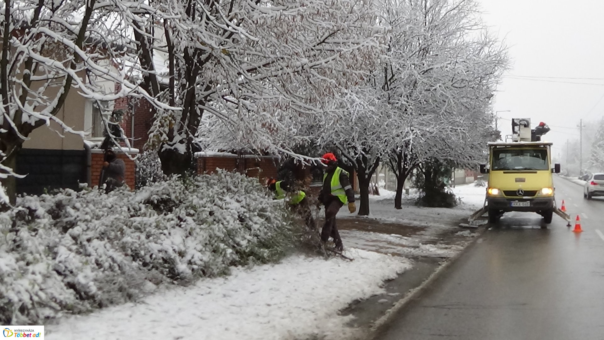 Légvezetékekbe érő gallyakat távolítottak el a Kótaji úton