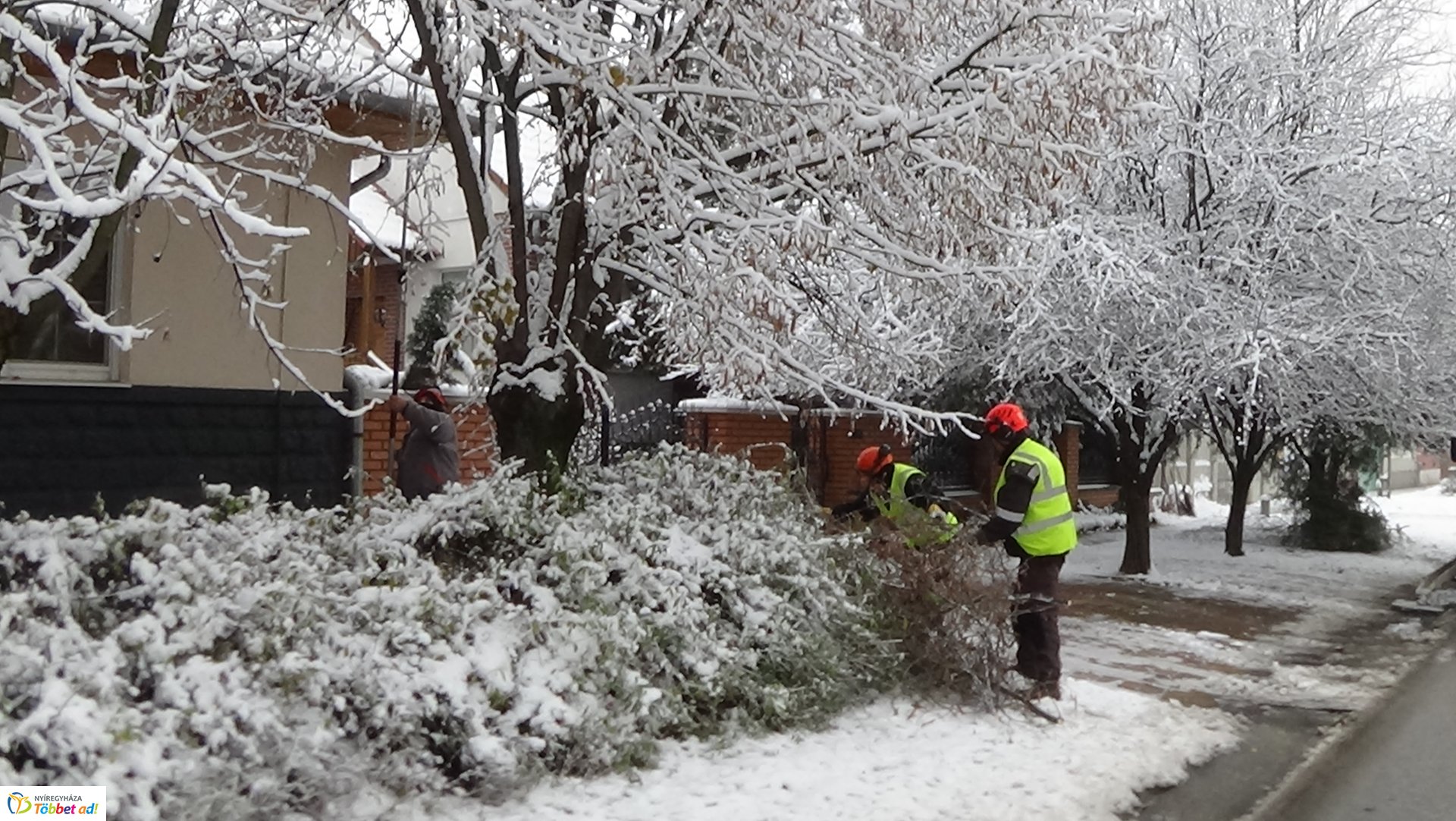Légvezetékekbe érő gallyakat távolítottak el a Kótaji úton