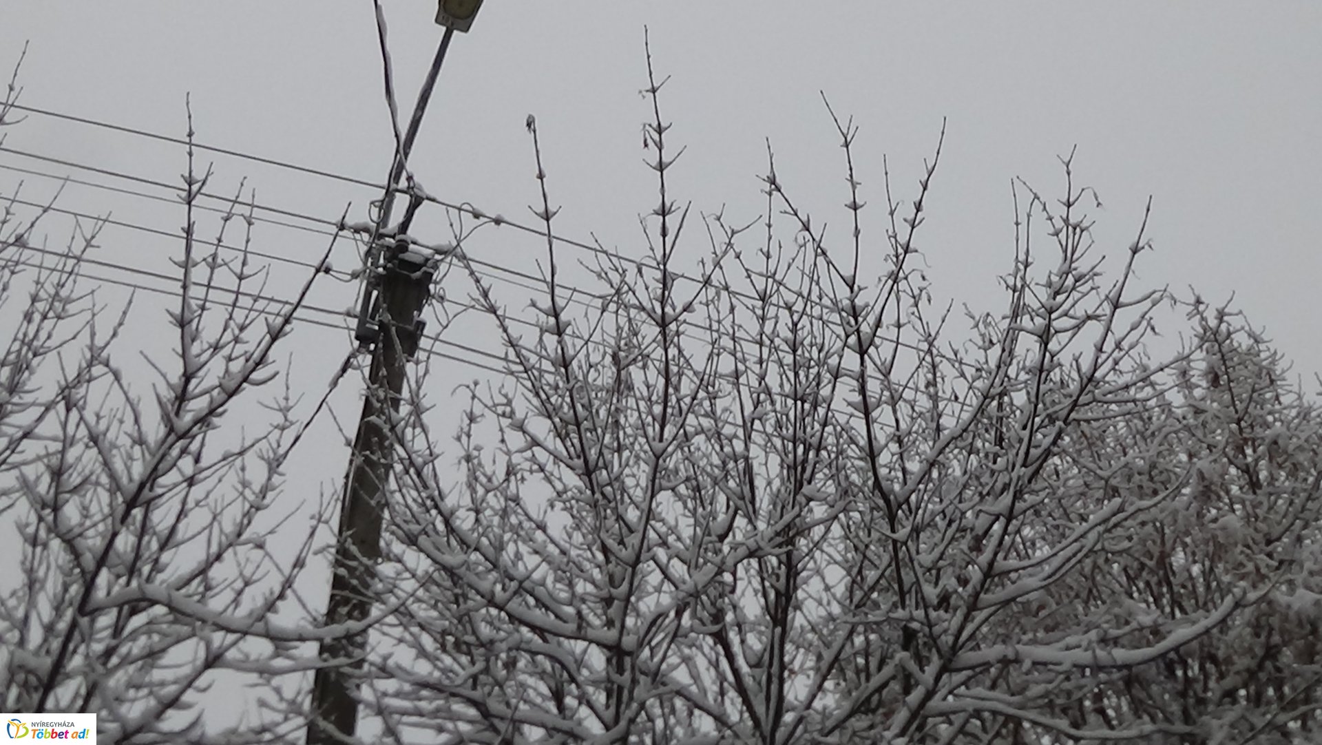 Légvezetékekbe érő gallyakat távolítottak el a Kótaji úton