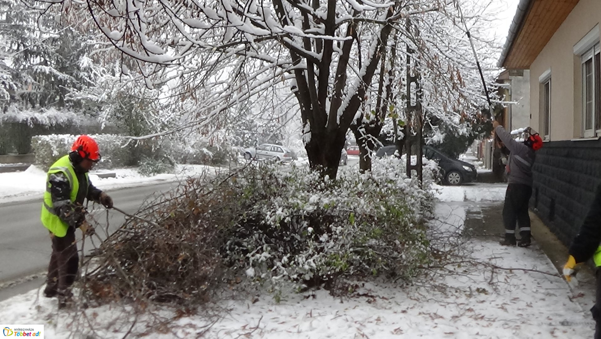 Légvezetékekbe érő gallyakat távolítottak el a Kótaji úton