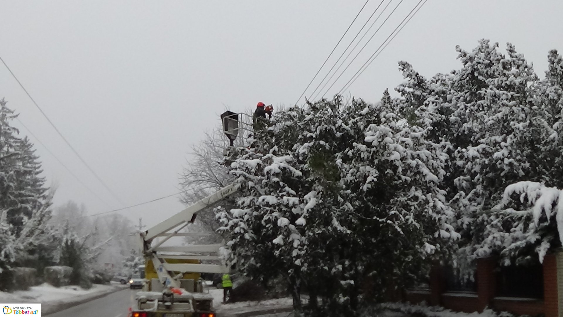 Légvezetékekbe érő gallyakat távolítottak el a Kótaji úton