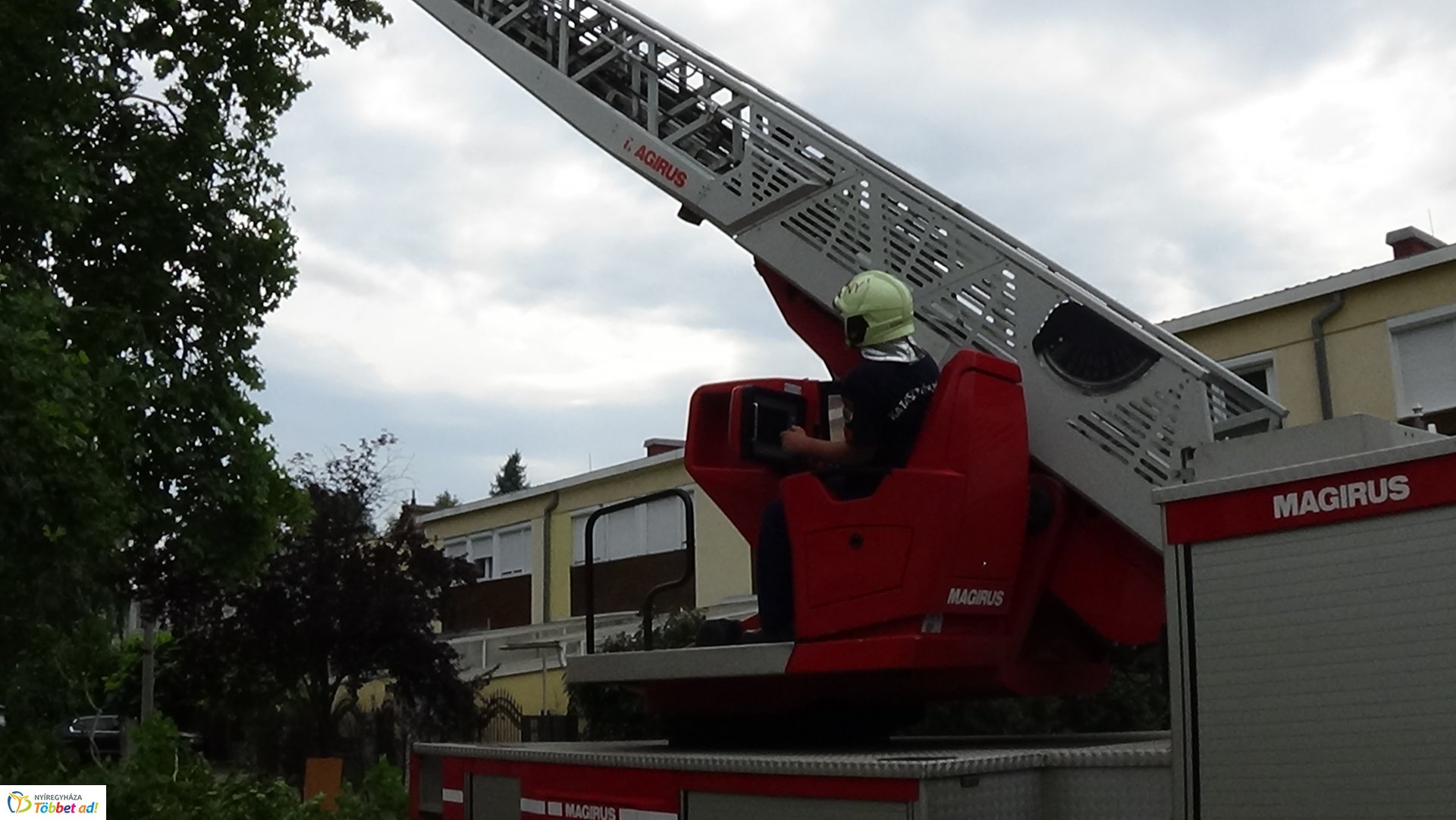 Lehasadt egy platánfa ága a Lengyel utcán