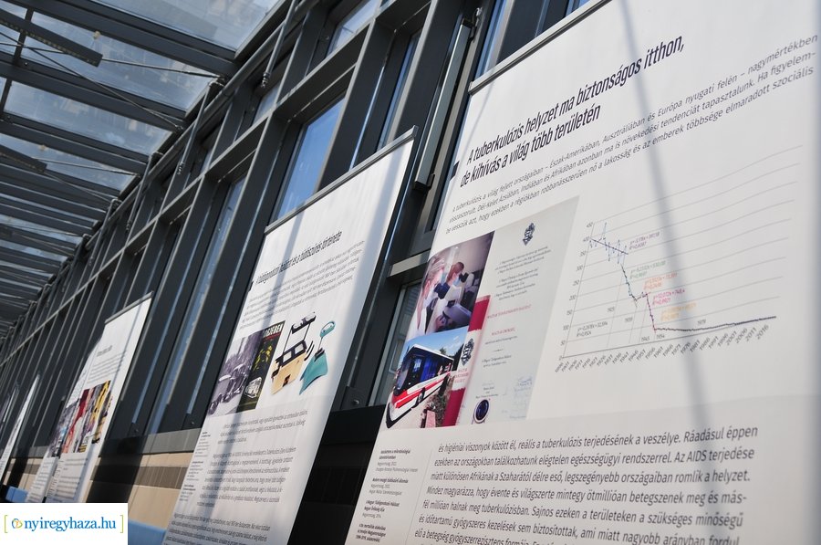 Lélegzet metsző tűzben - kiállítás