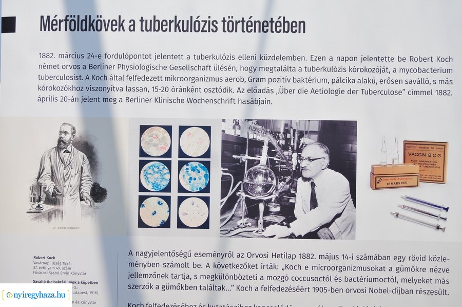 Lélegzet metsző tűzben - kiállítás