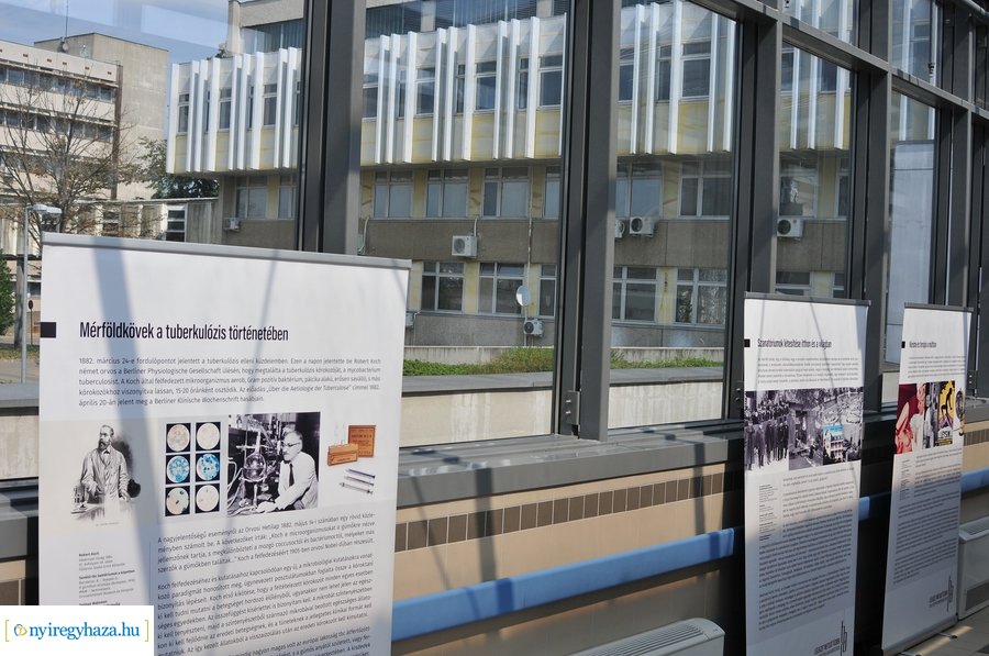 Lélegzet metsző tűzben - kiállítás