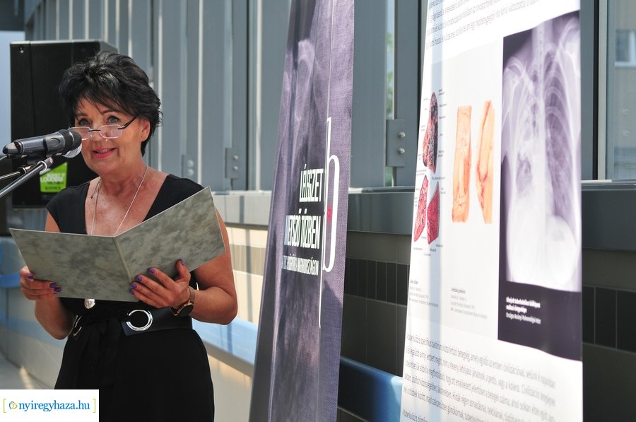 Lélegzet metsző tűzben - kiállítás