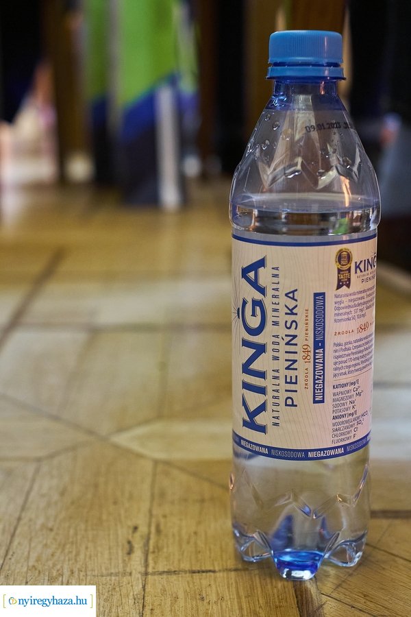 Lengyel vendégek a Városházán 2021810