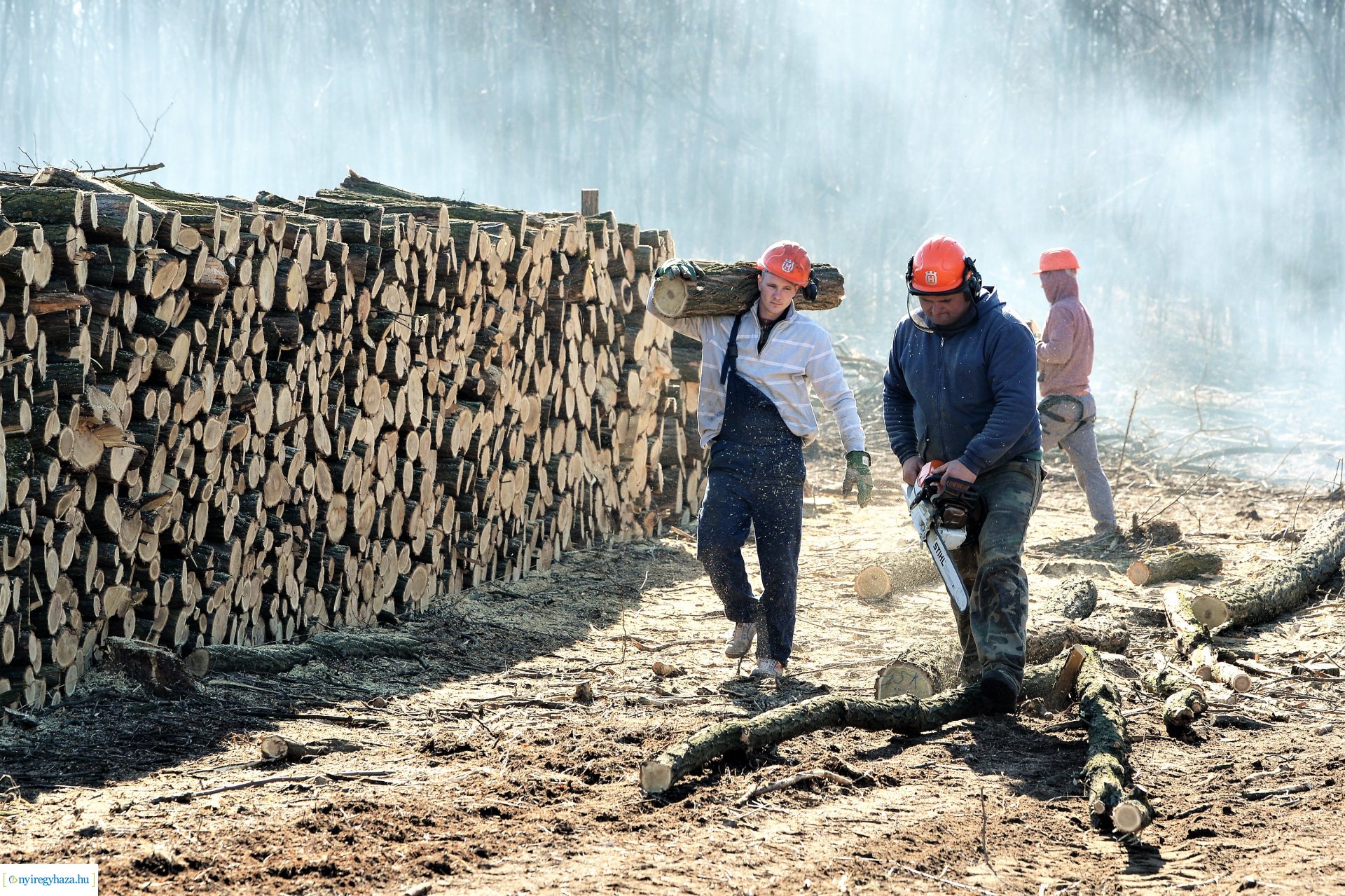 Lezárult a Szociális  Tüzelőanyag Program a Nyírerdőnél