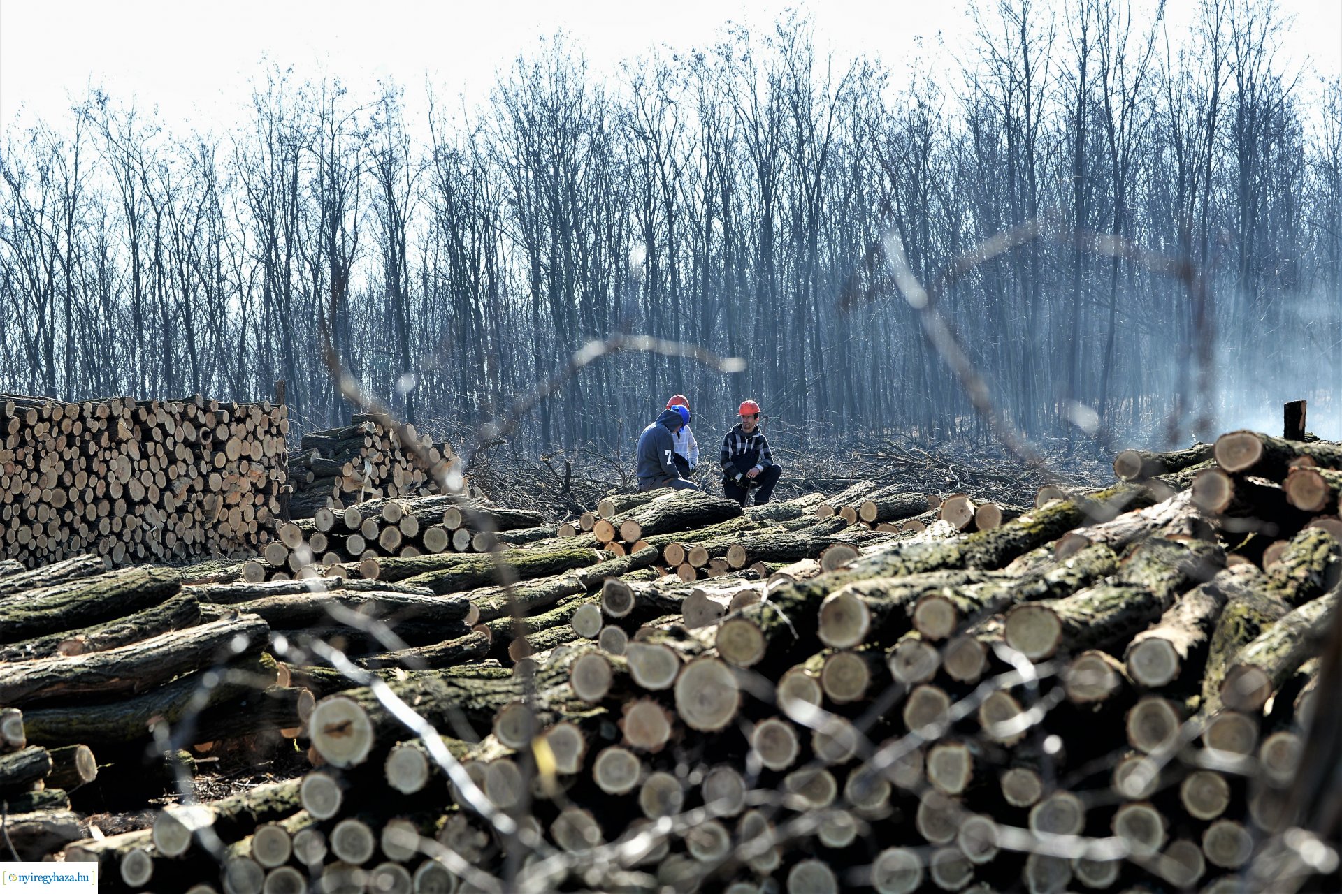 Lezárult a Szociális  Tüzelőanyag Program a Nyírerdőnél