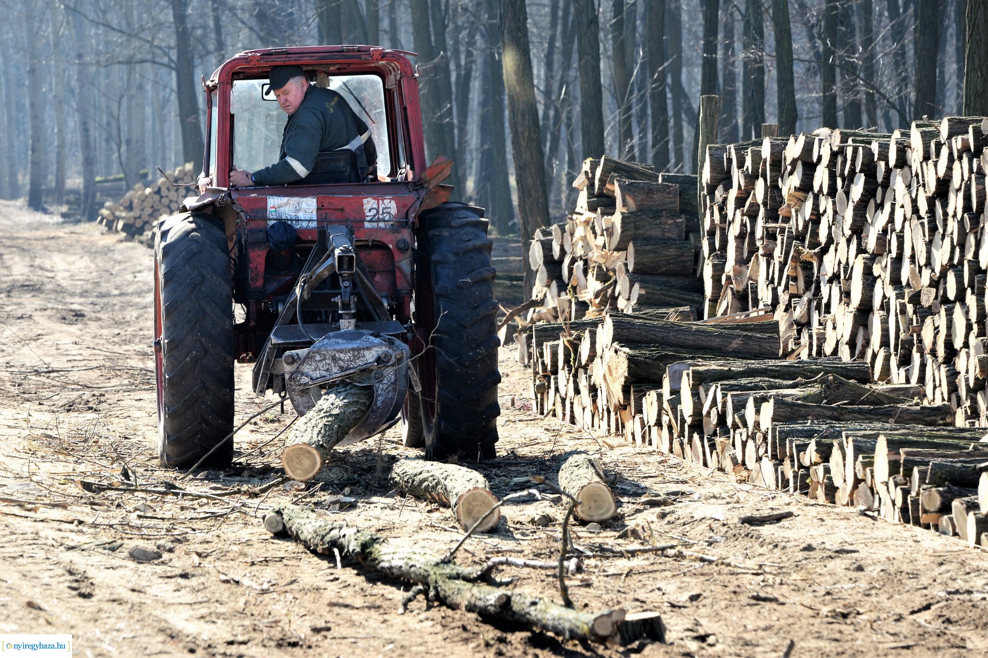 Lezárult a Szociális  Tüzelőanyag Program a Nyírerdőnél