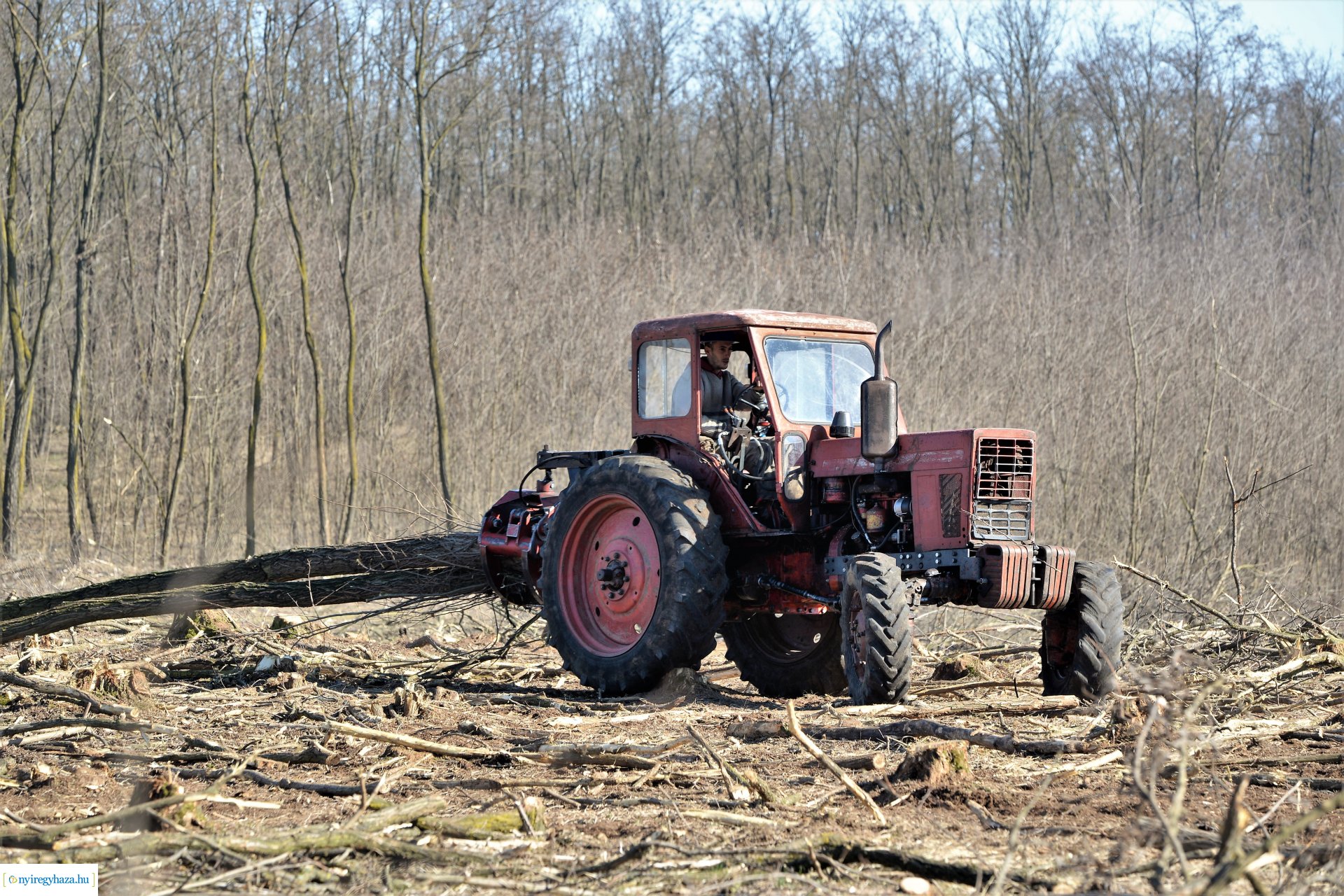 Lezárult a Szociális  Tüzelőanyag Program a Nyírerdőnél