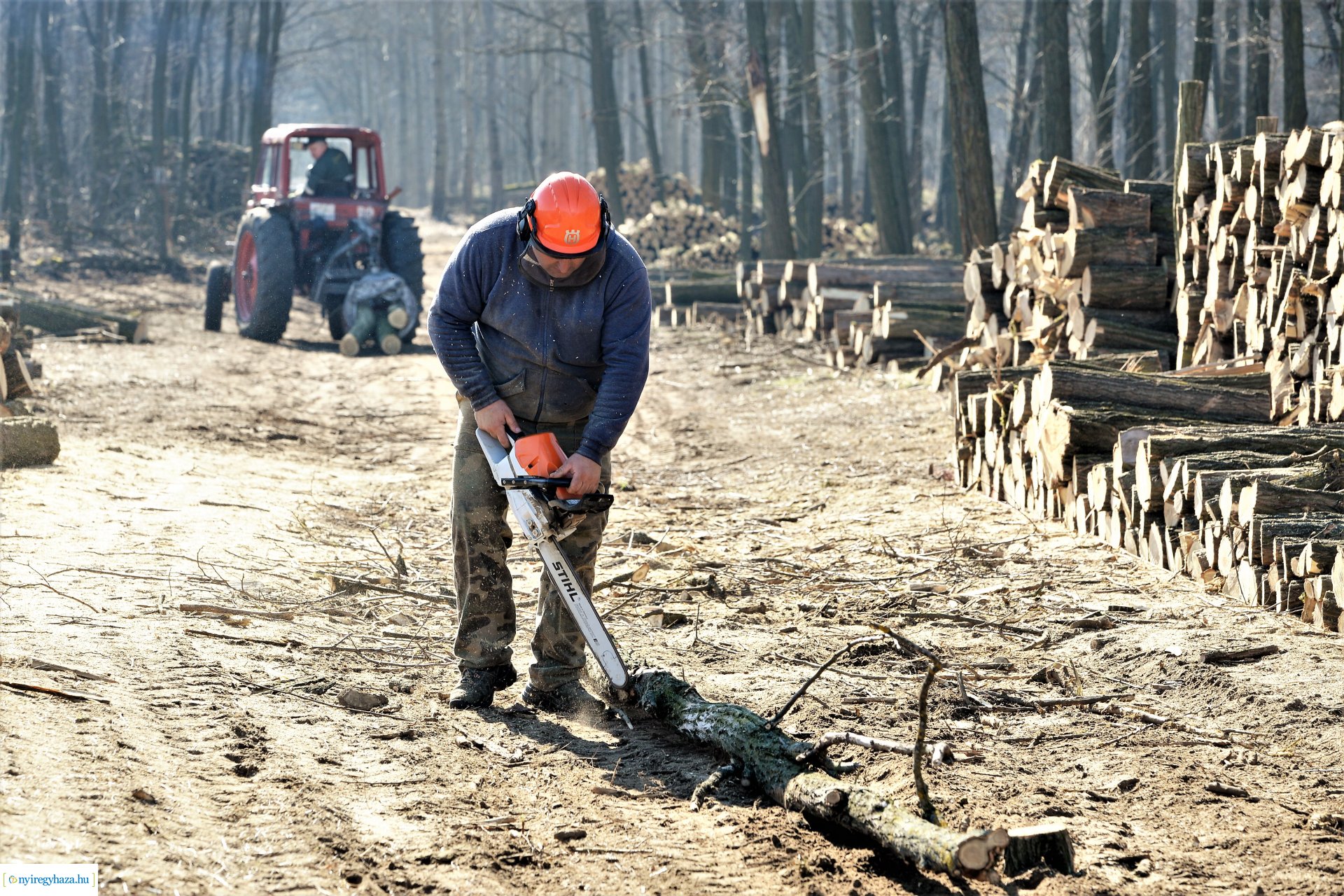 Lezárult a Szociális  Tüzelőanyag Program a Nyírerdőnél