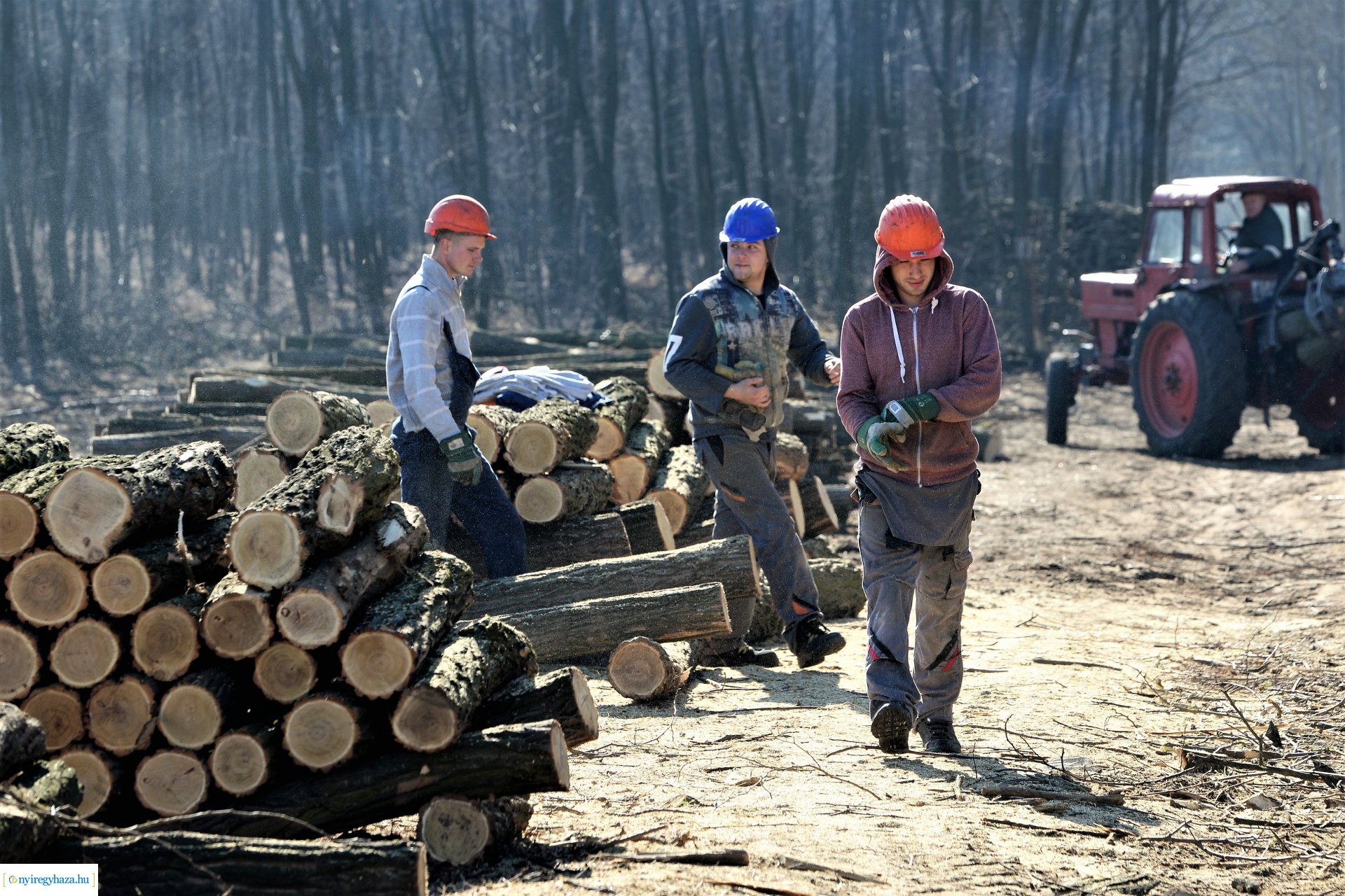 Lezárult a Szociális  Tüzelőanyag Program a Nyírerdőnél
