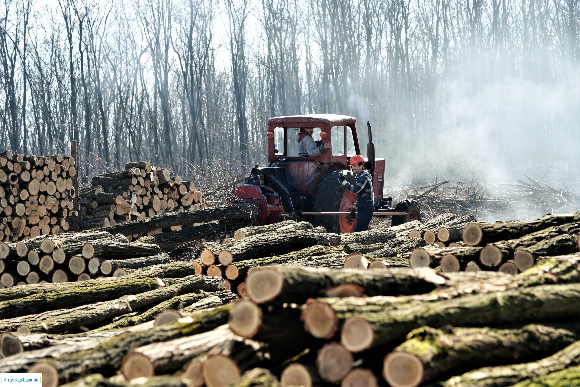 Lezárult a Szociális  Tüzelőanyag Program a Nyírerdőnél