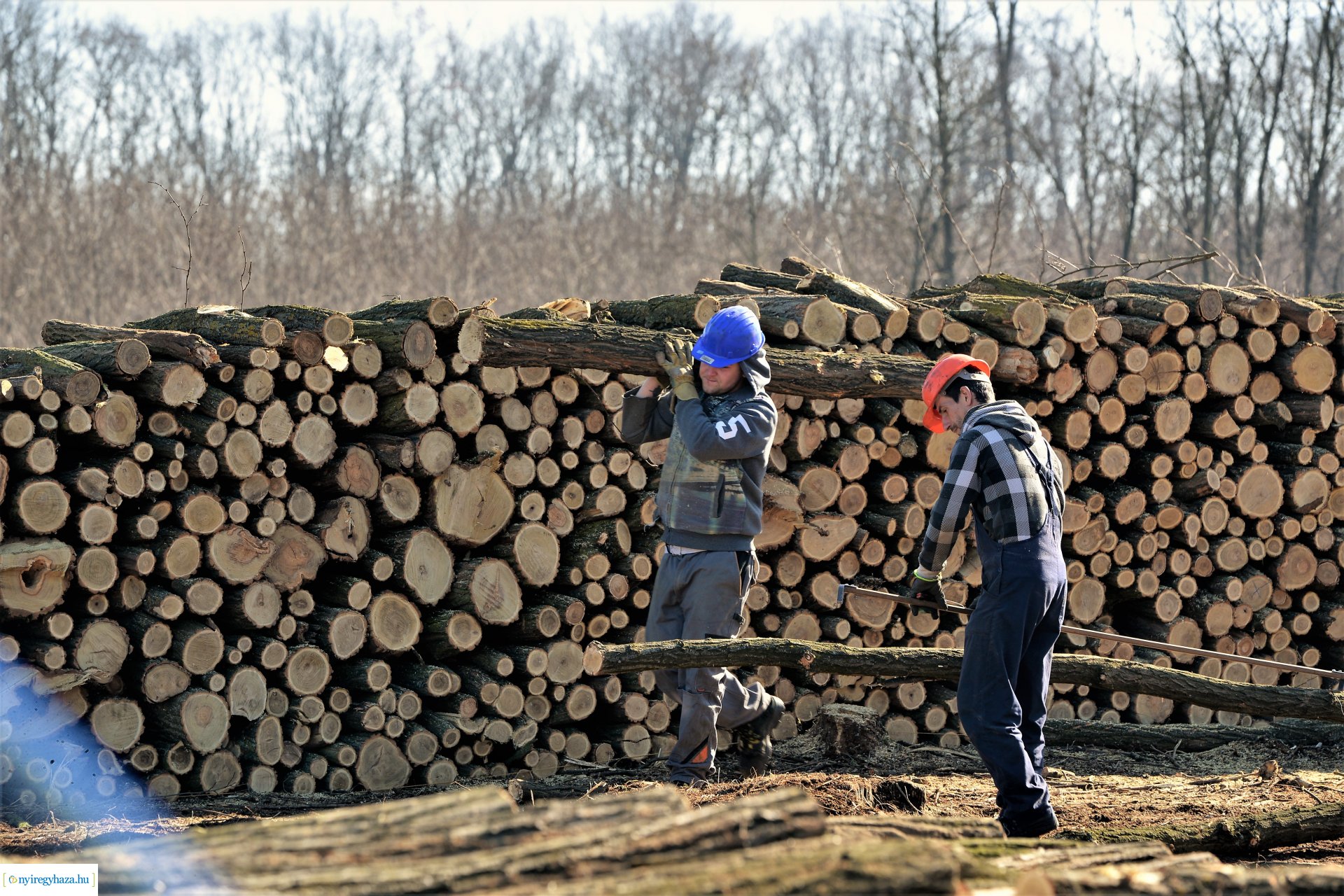 Lezárult a Szociális  Tüzelőanyag Program a Nyírerdőnél