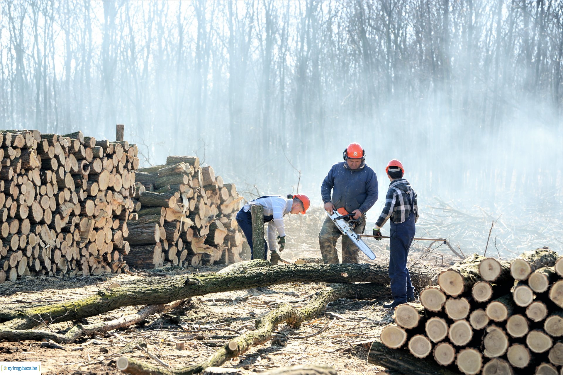 Lezárult a Szociális  Tüzelőanyag Program a Nyírerdőnél