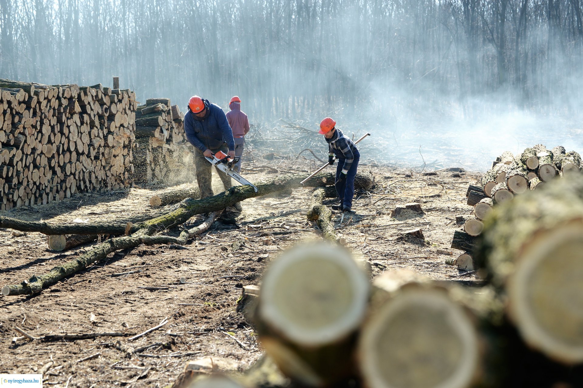 Lezárult a Szociális  Tüzelőanyag Program a Nyírerdőnél