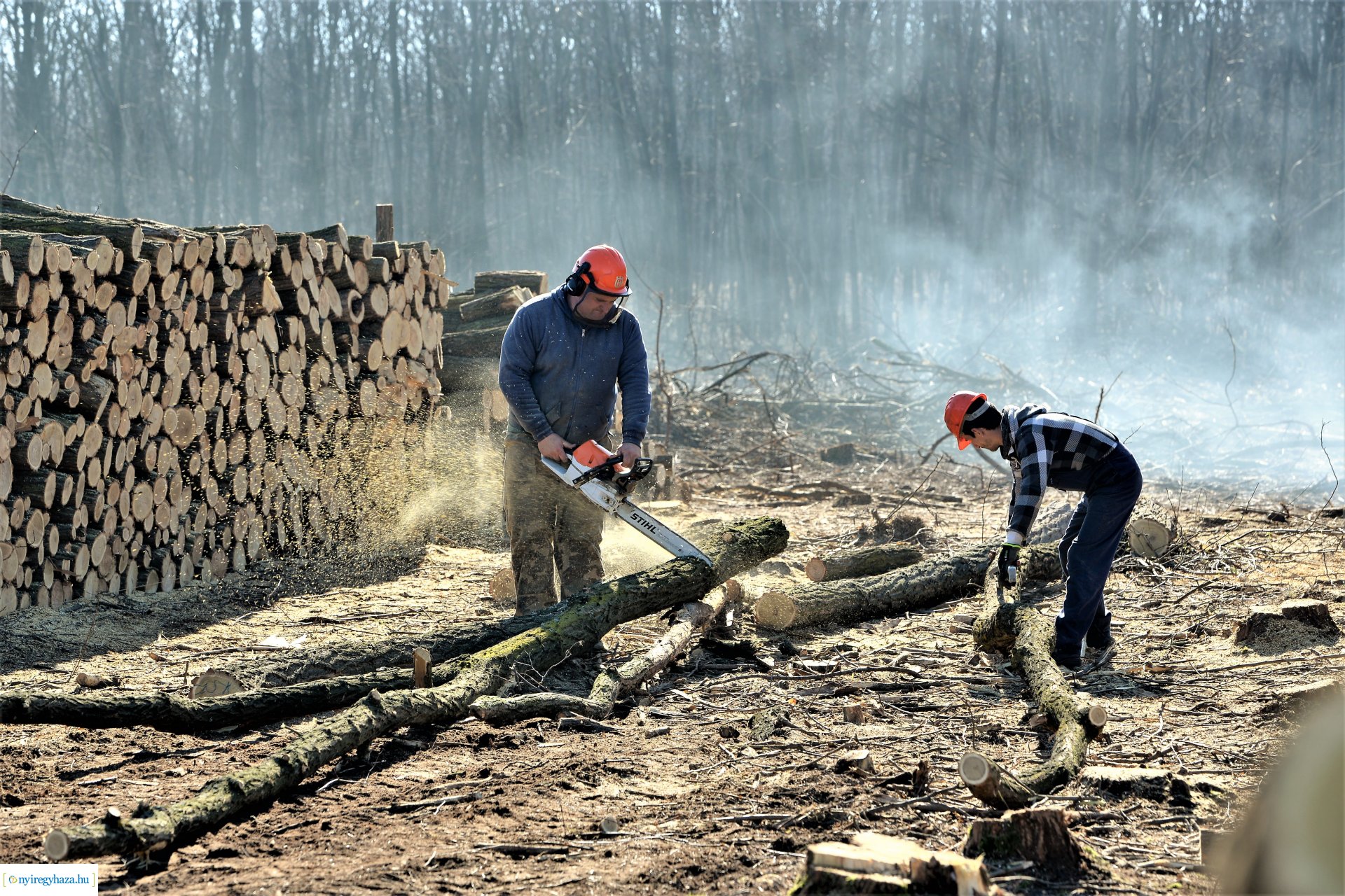 Lezárult a Szociális  Tüzelőanyag Program a Nyírerdőnél