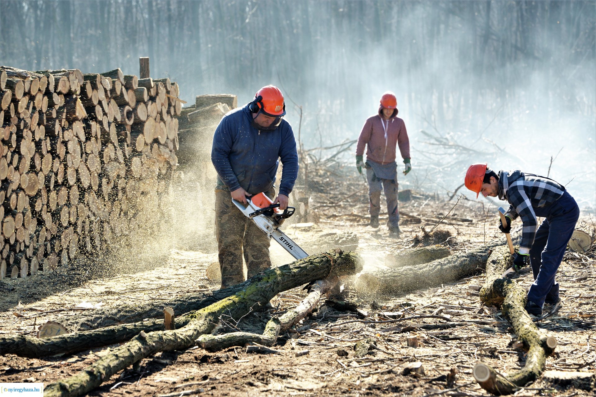 Lezárult a Szociális  Tüzelőanyag Program a Nyírerdőnél