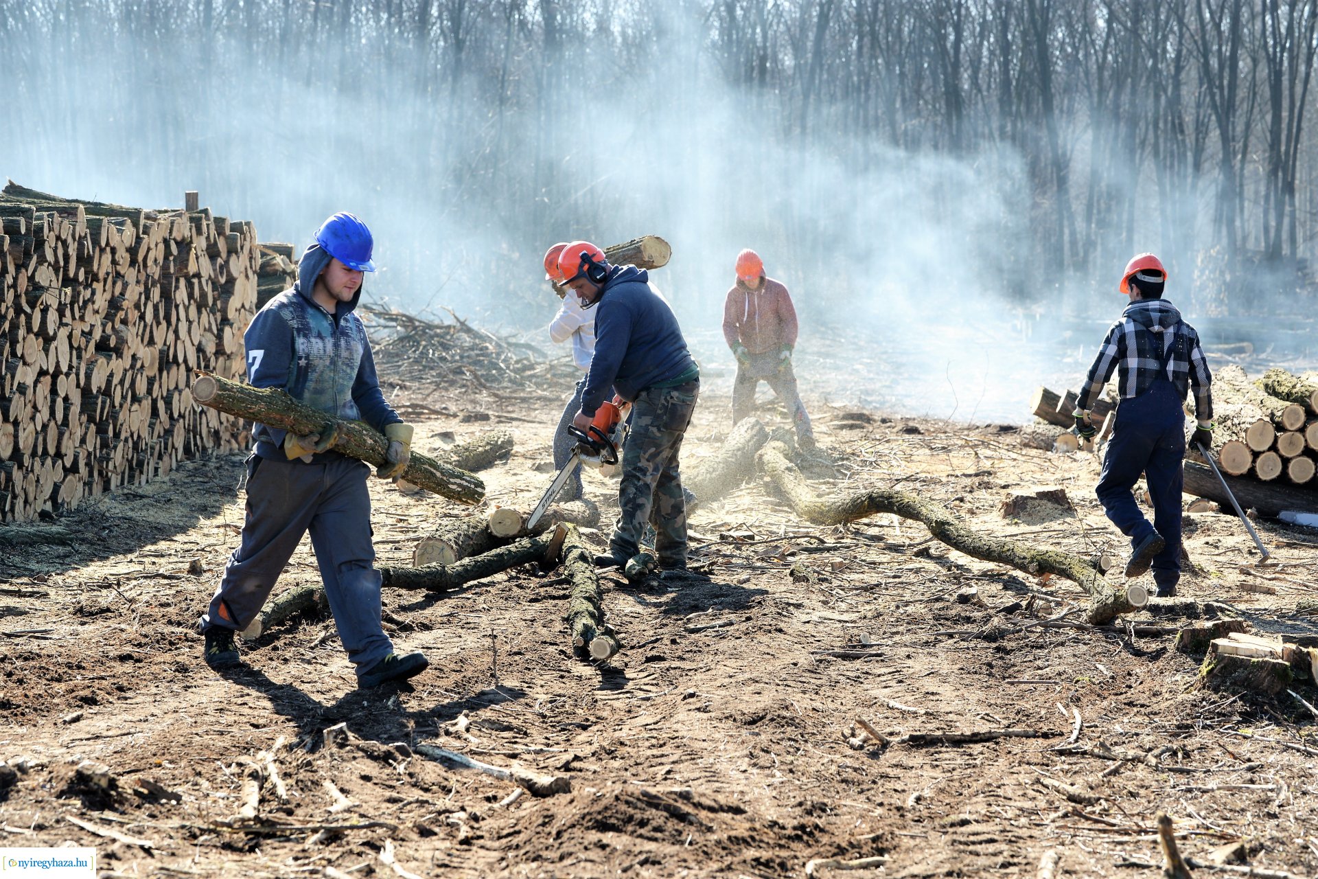 Lezárult a Szociális  Tüzelőanyag Program a Nyírerdőnél