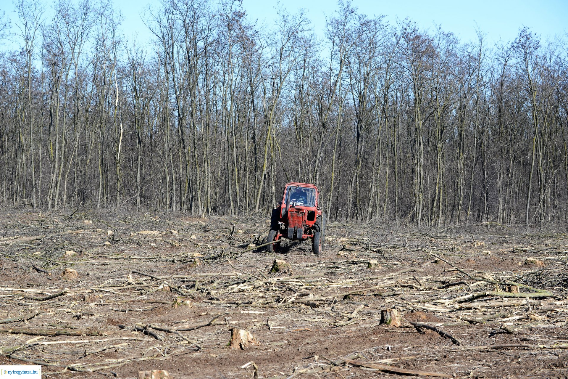 Lezárult a Szociális  Tüzelőanyag Program a Nyírerdőnél