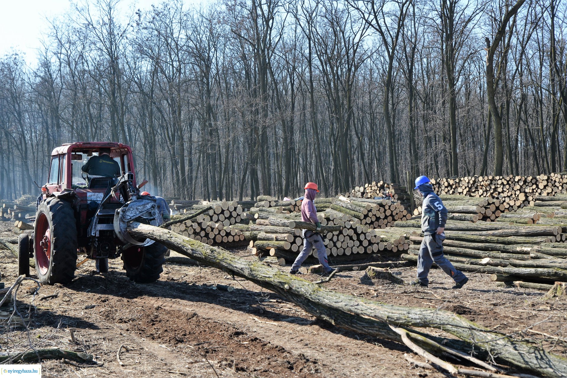 Lezárult a Szociális  Tüzelőanyag Program a Nyírerdőnél