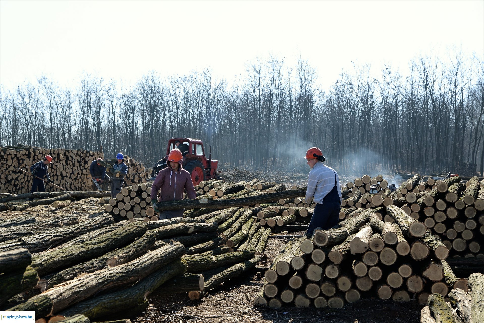Lezárult a Szociális  Tüzelőanyag Program a Nyírerdőnél