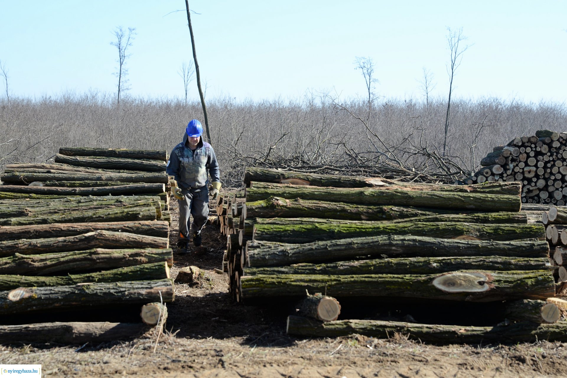 Lezárult a Szociális  Tüzelőanyag Program a Nyírerdőnél