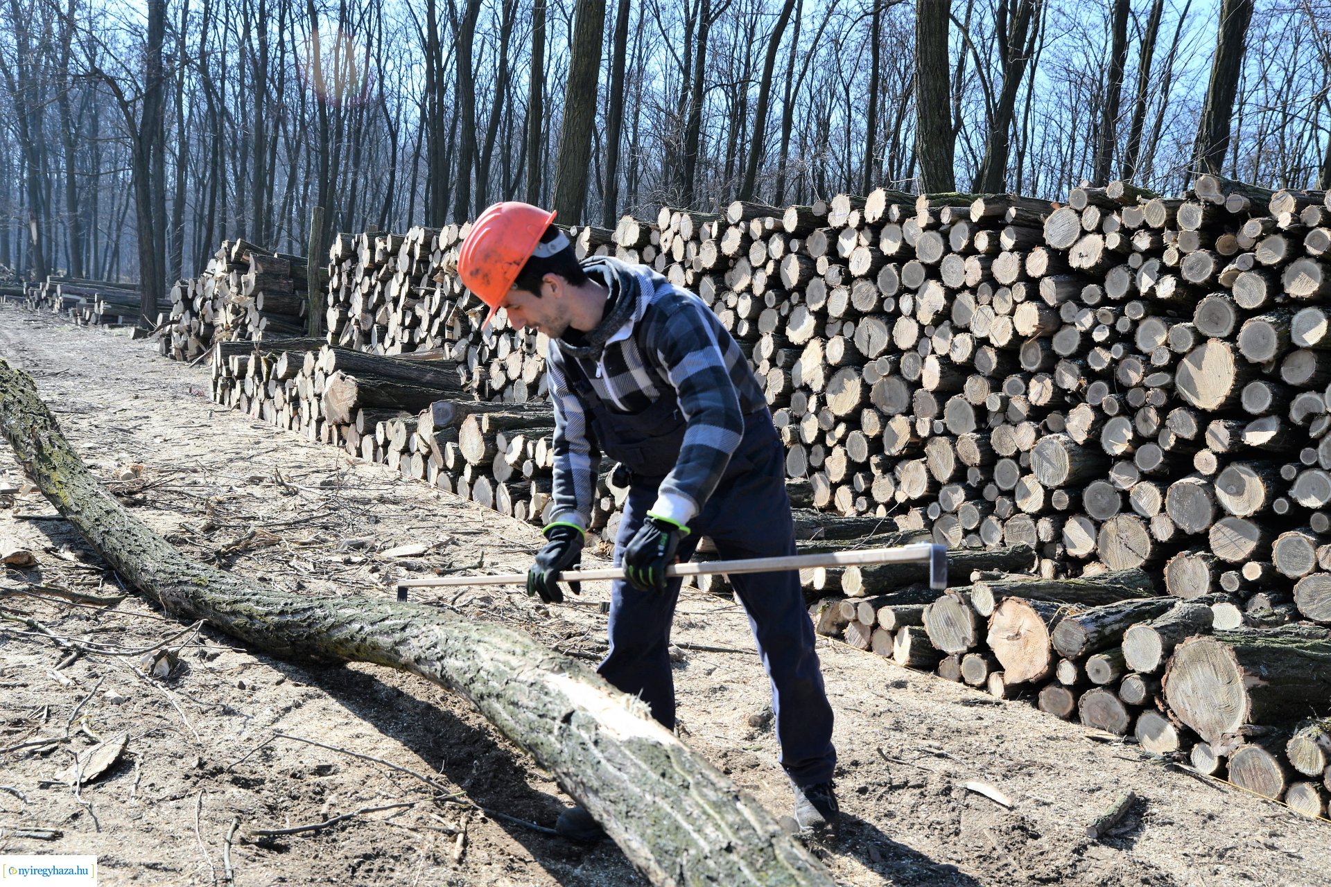 Lezárult a Szociális  Tüzelőanyag Program a Nyírerdőnél