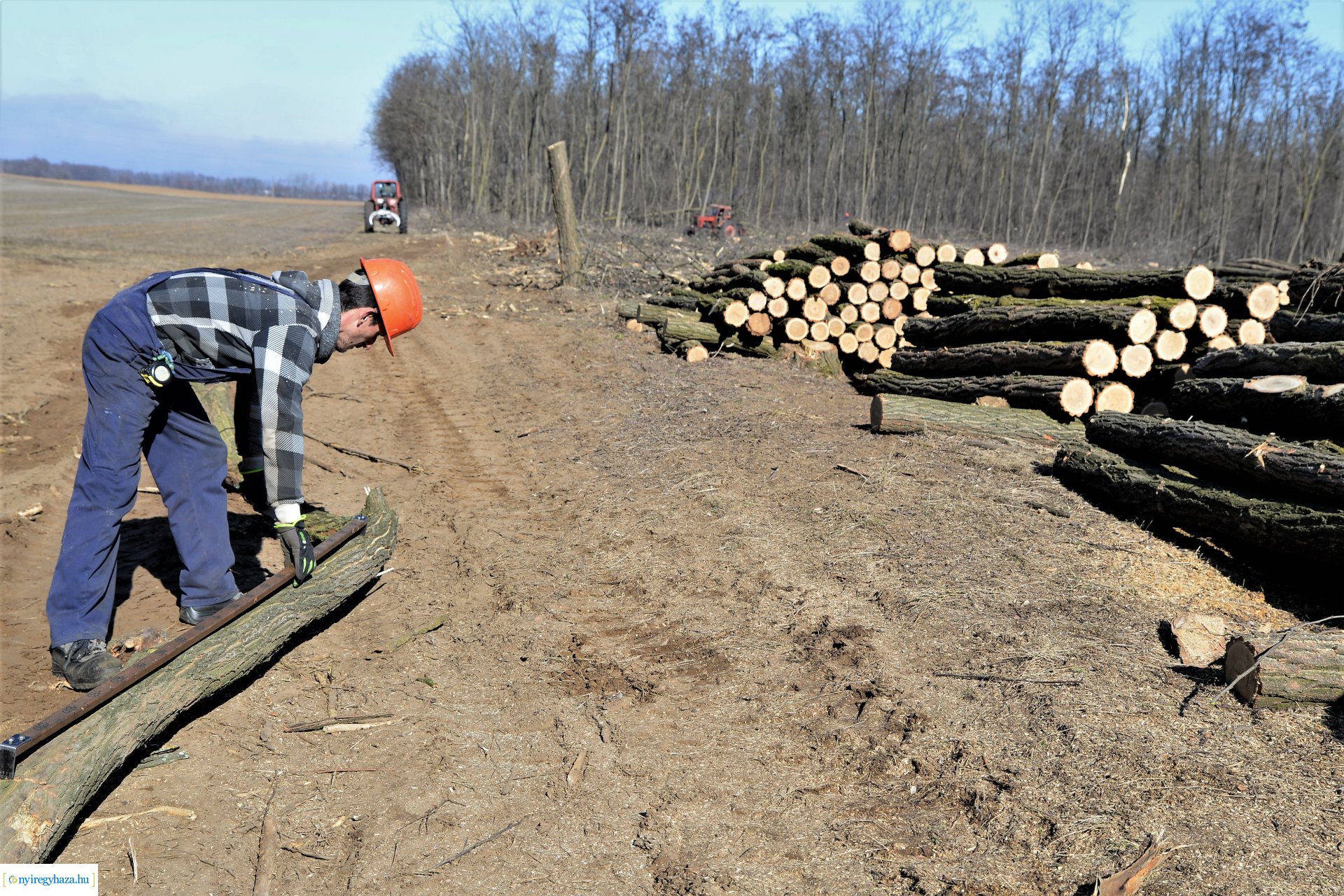 Lezárult a Szociális  Tüzelőanyag Program a Nyírerdőnél