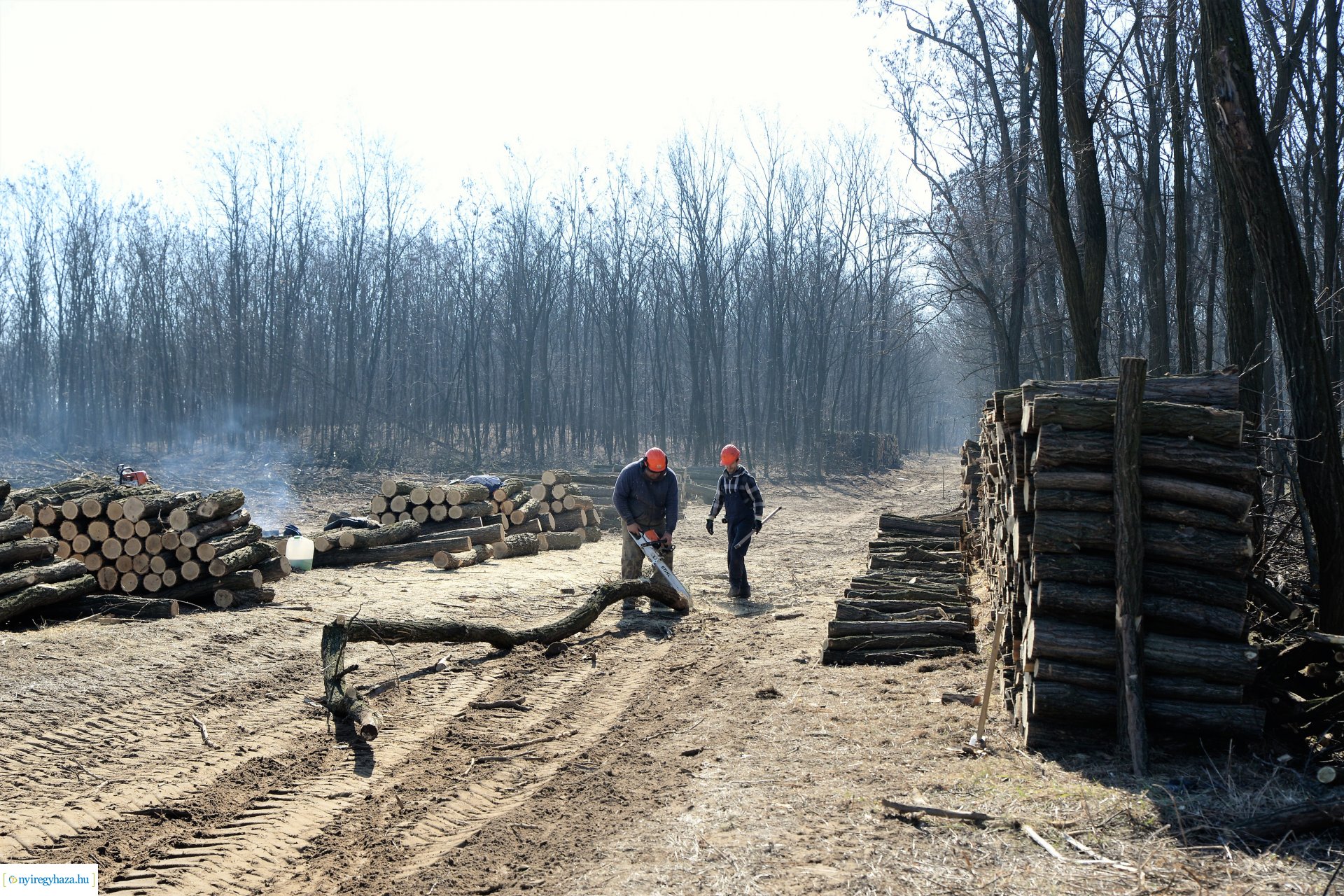 Lezárult a Szociális  Tüzelőanyag Program a Nyírerdőnél