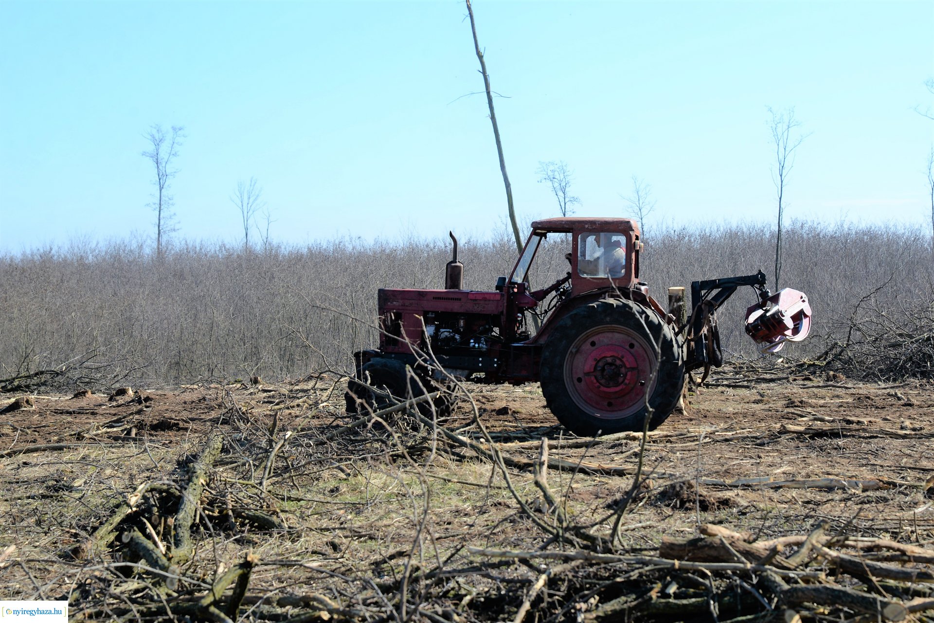Lezárult a Szociális  Tüzelőanyag Program a Nyírerdőnél