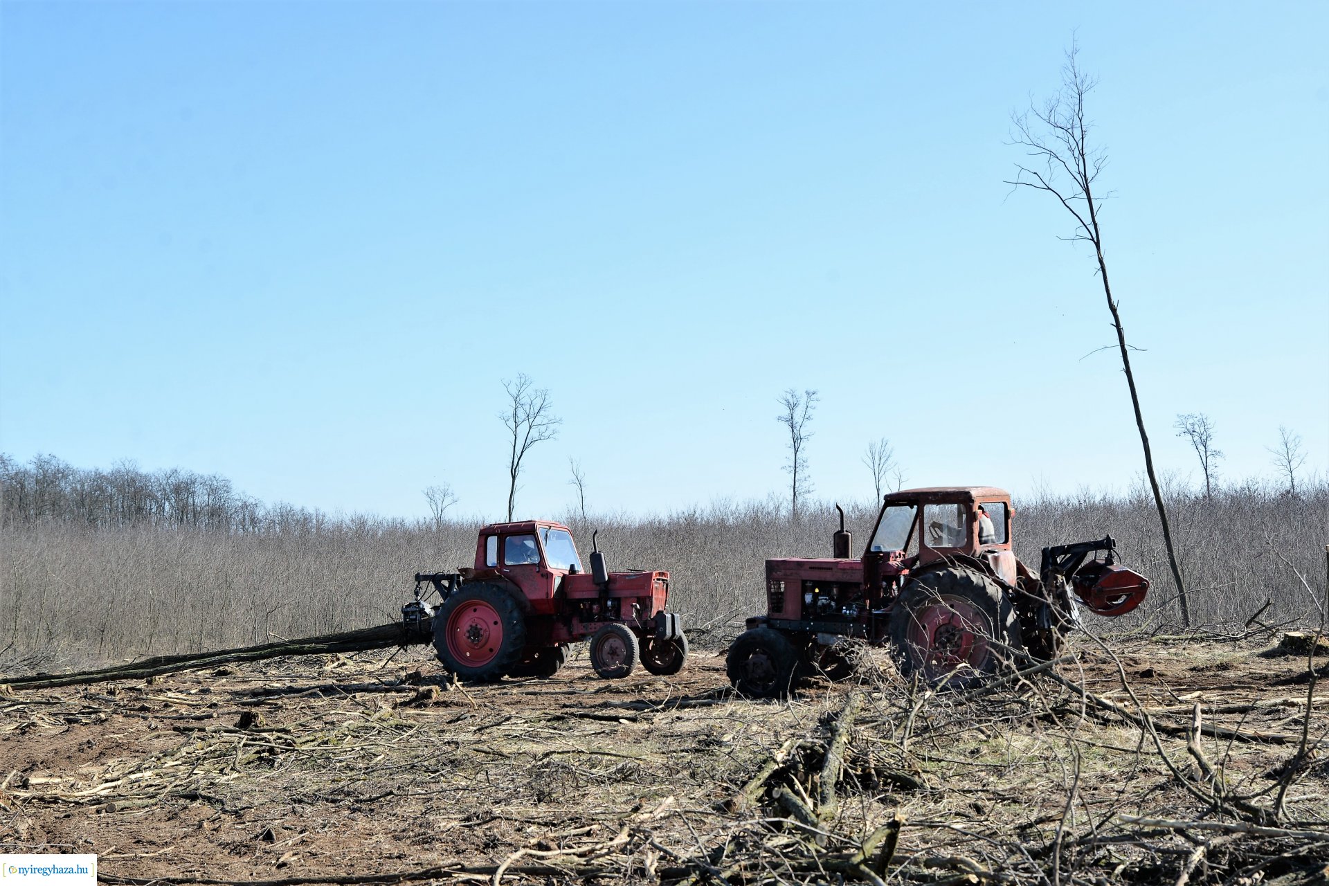Lezárult a Szociális  Tüzelőanyag Program a Nyírerdőnél