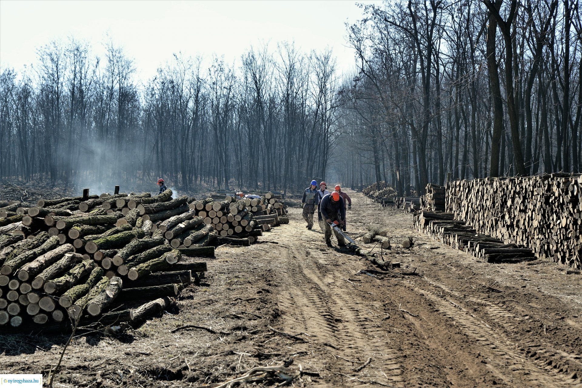 Lezárult a Szociális  Tüzelőanyag Program a Nyírerdőnél