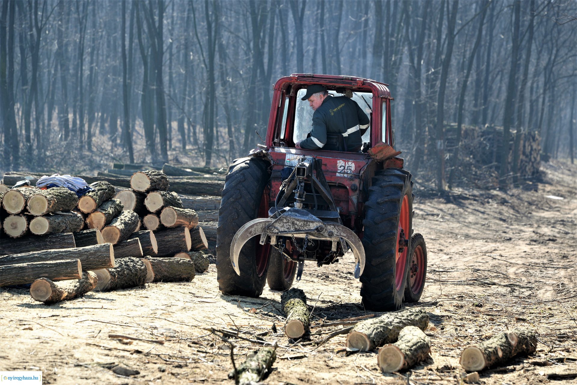 Lezárult a Szociális  Tüzelőanyag Program a Nyírerdőnél