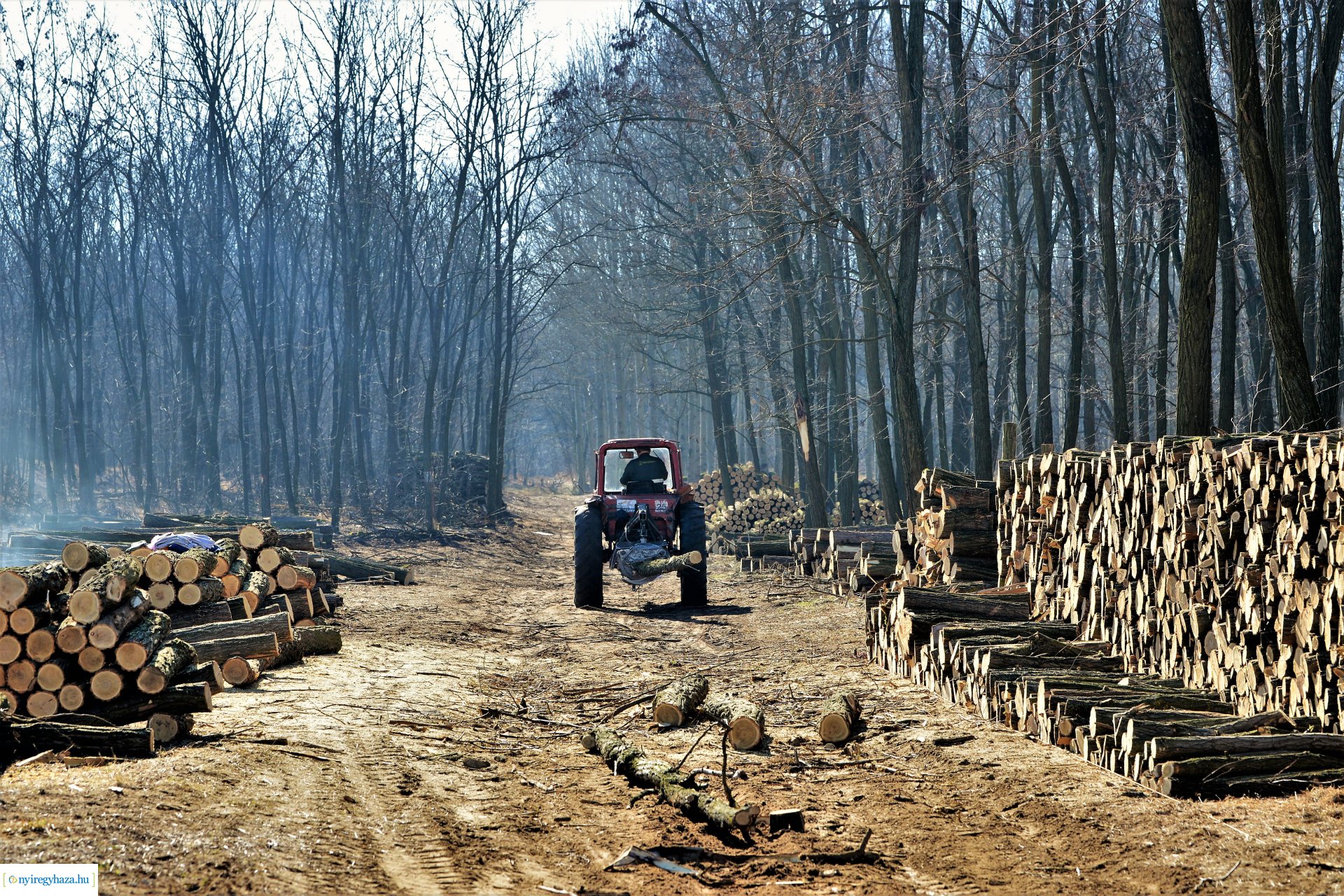 Lezárult a Szociális  Tüzelőanyag Program a Nyírerdőnél