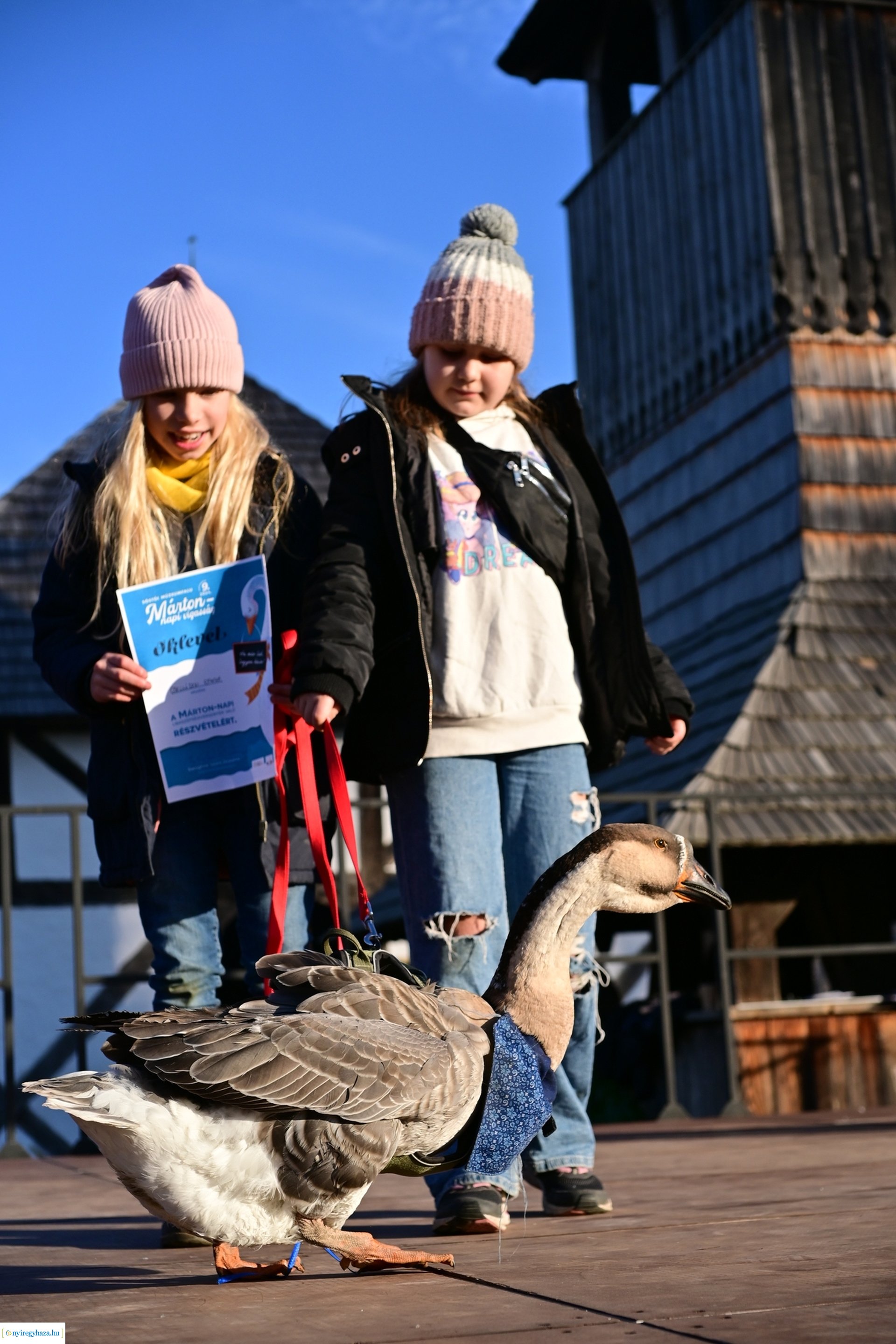 Liba Márton Nap a Múzeumfaluban 2024