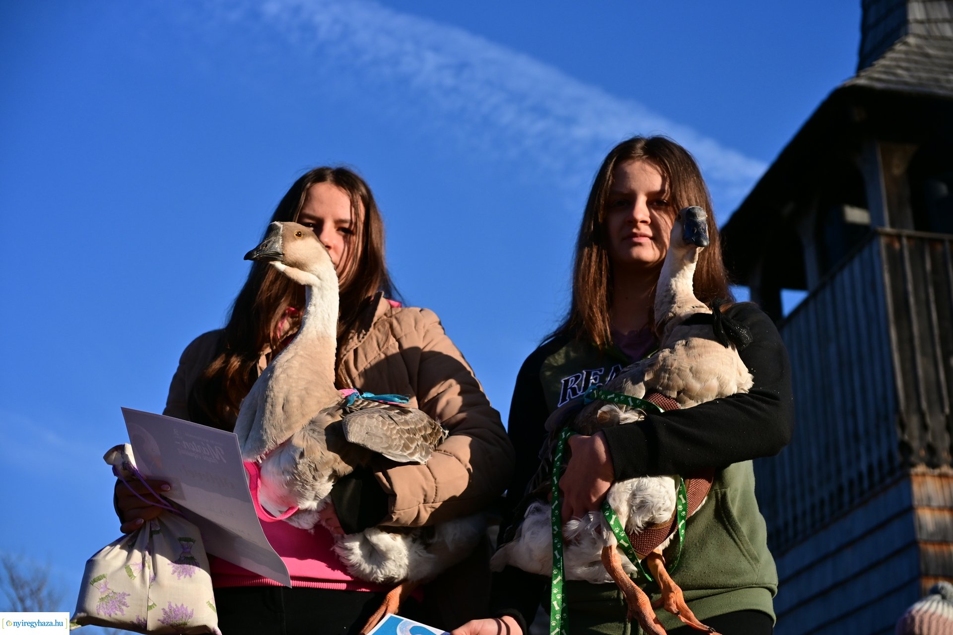 Liba Márton Nap a Múzeumfaluban 2024