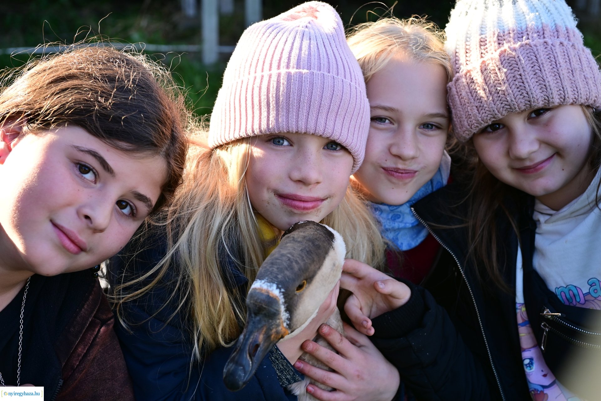 Liba Márton Nap a Múzeumfaluban 2024