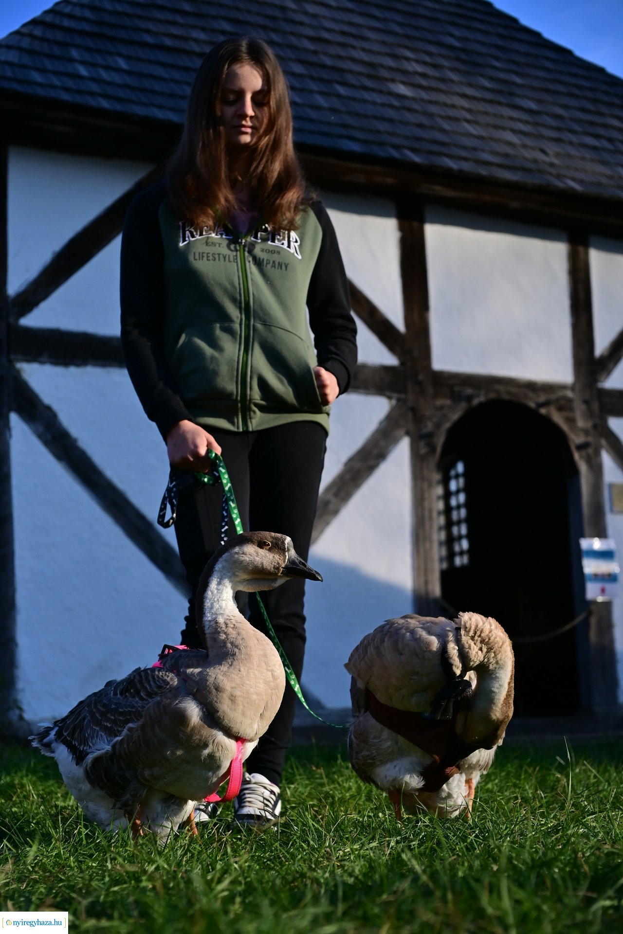 Liba Márton Nap a Múzeumfaluban 2024