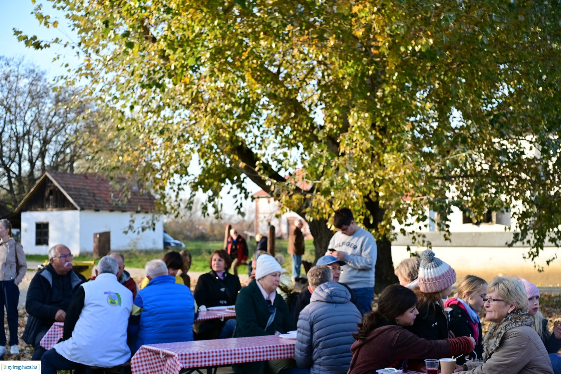 Liba Márton Nap a Múzeumfaluban 2024