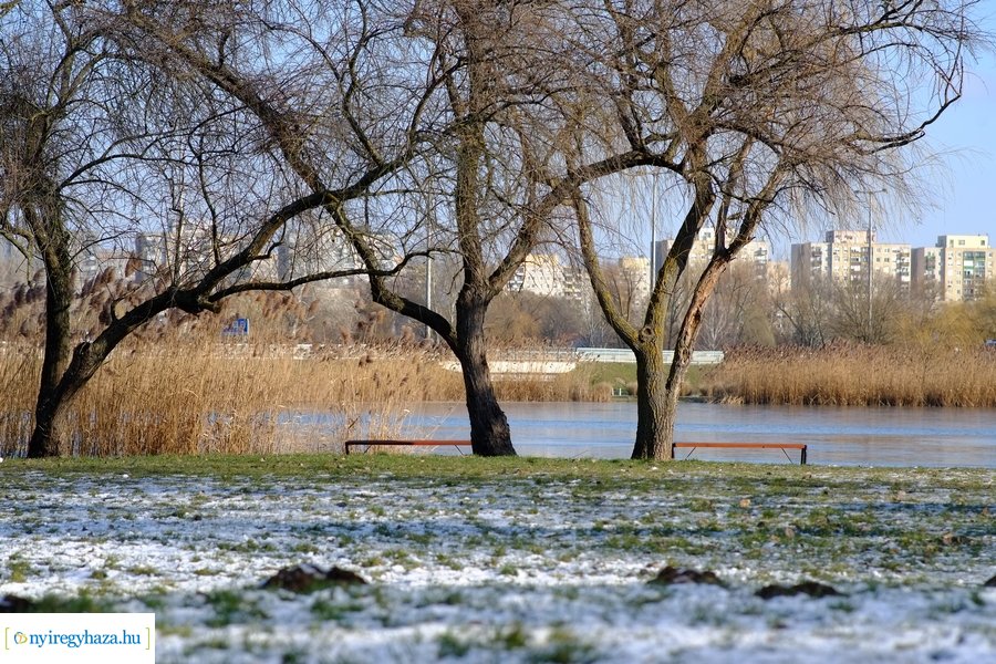 Ligeti csendélet 20230206