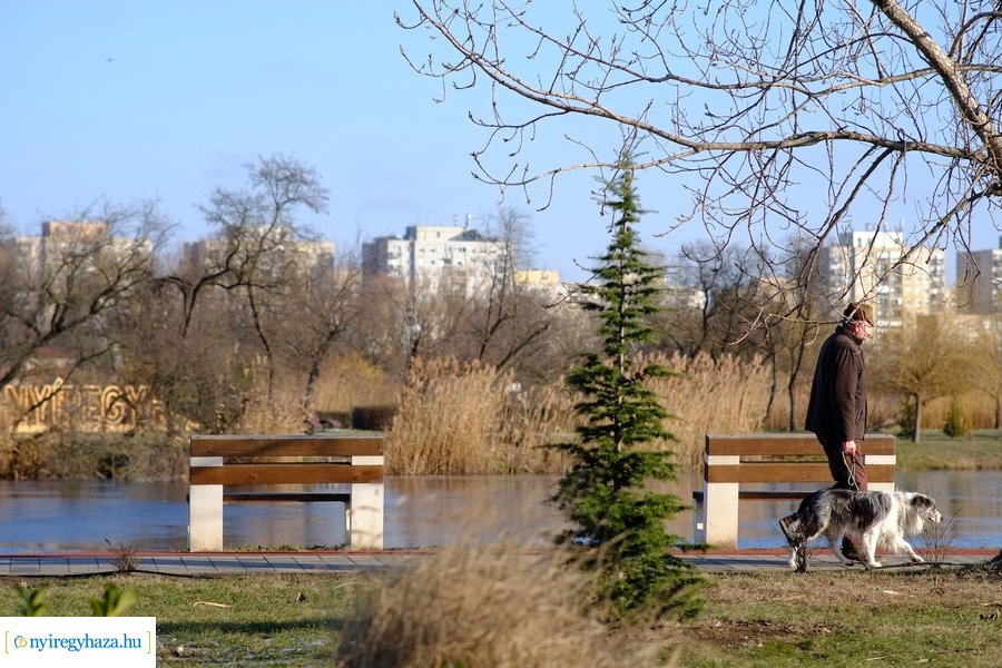 Ligeti csendélet 20230206