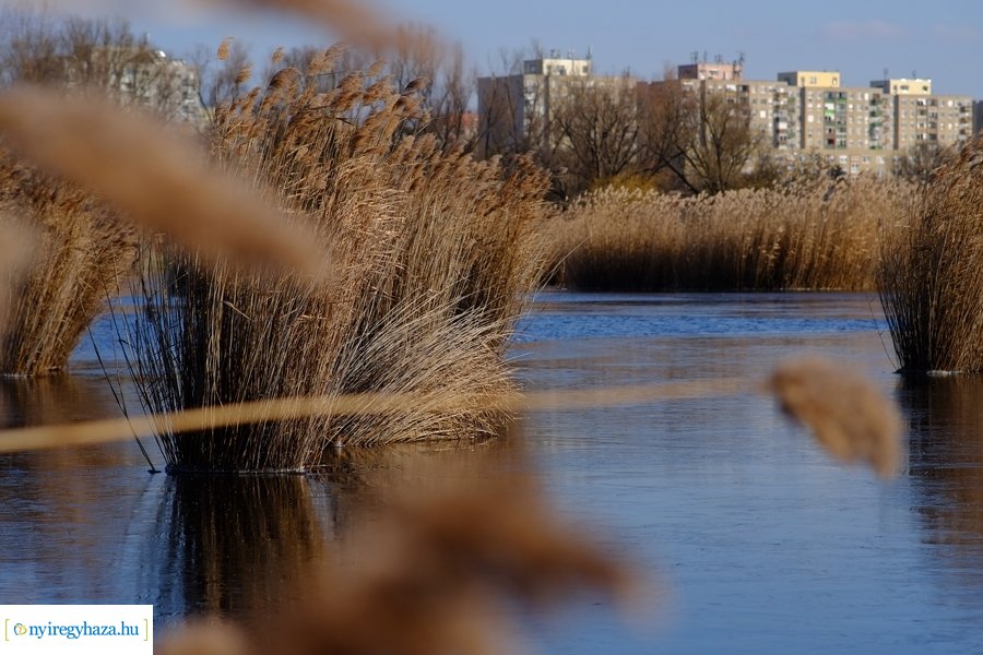 Ligeti csendélet 20230206