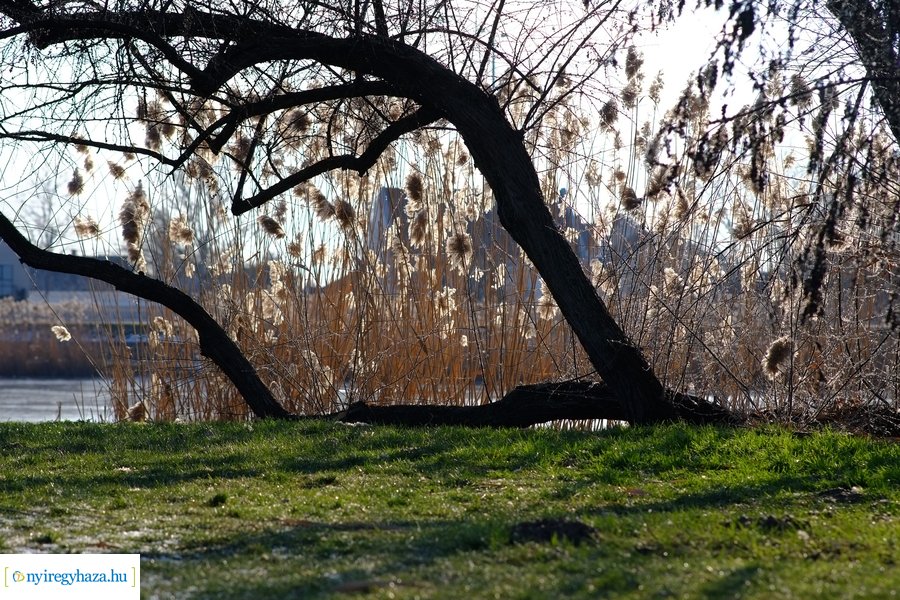 Ligeti csendélet 20230206