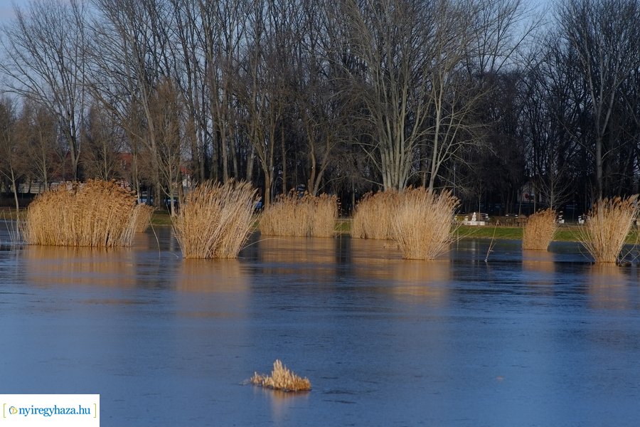 Ligeti csendélet 20230206